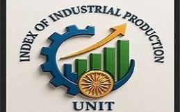 IIP(2024-25) Manufacturing  11.90%  Electricity 3.35%  General Index  9.19%%
